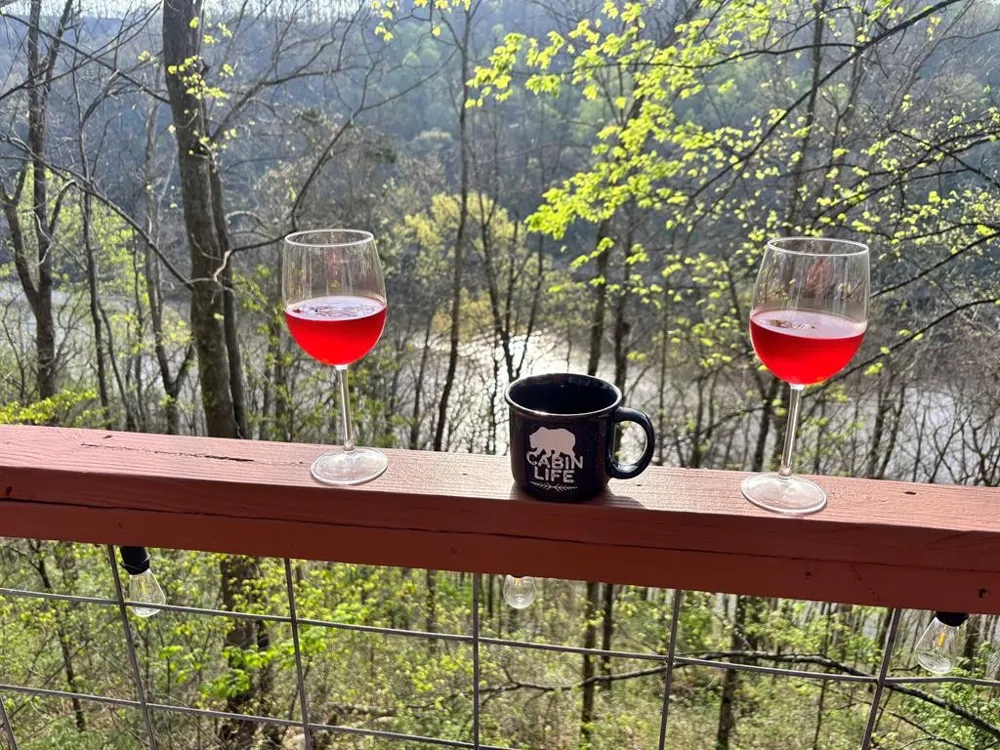 8045 Sarah Thomas Rd Silver Point, TN 38582