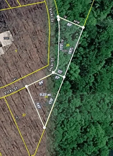 8045 Sarah Thomas Rd Silver Point, TN 38582