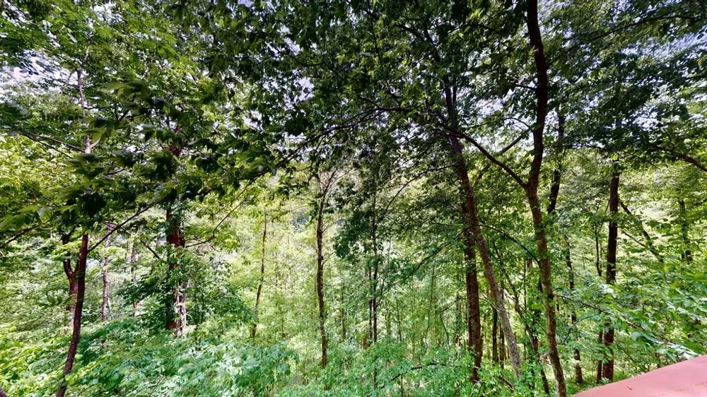 8045 Sarah Thomas Rd Silver Point, TN 38582