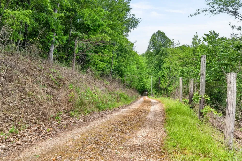 8045 Sarah Thomas Rd Silver Point, TN 38582