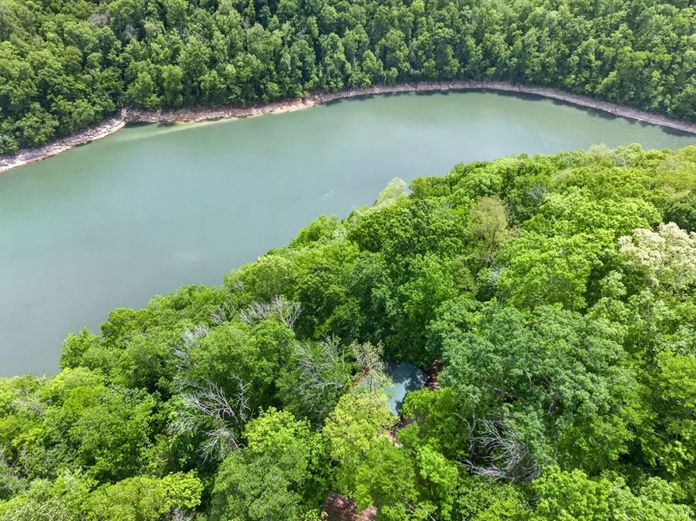 8045 Sarah Thomas Rd Silver Point, TN 38582