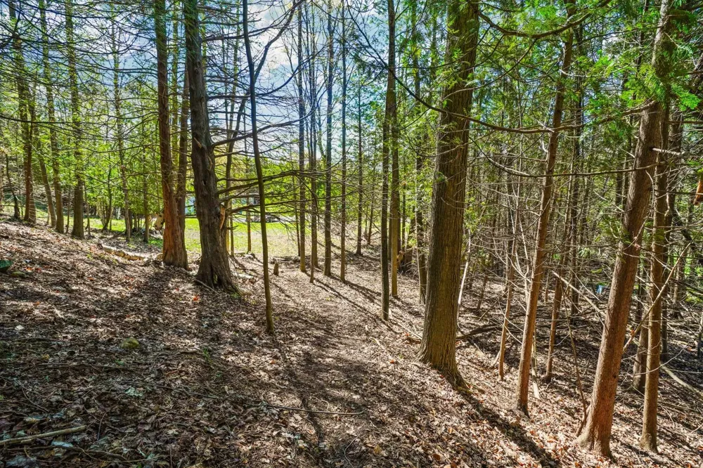 Lynn Street Charlevoix Township, MI 49712