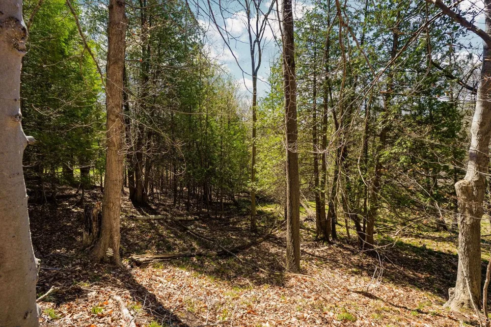 Lynn Street Charlevoix Township, MI 49712