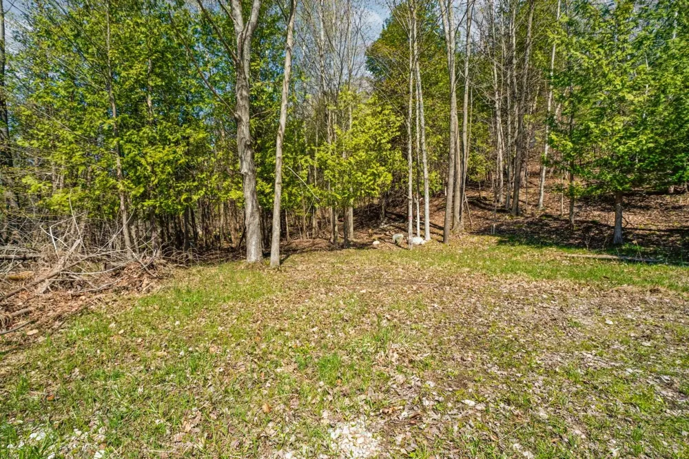 Lynn Street Charlevoix Township, MI 49712