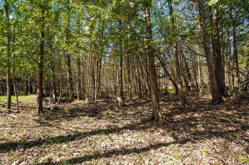 Lynn Street Charlevoix Township, MI 49712