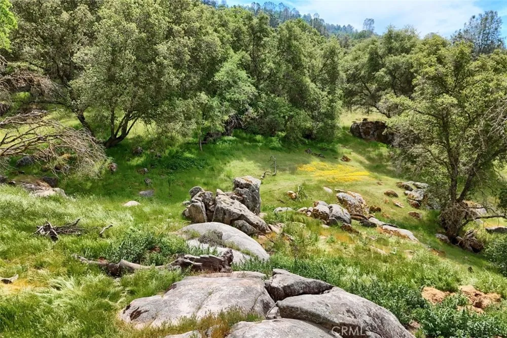 32028 Cattle Way Coarsegold, CA 93614