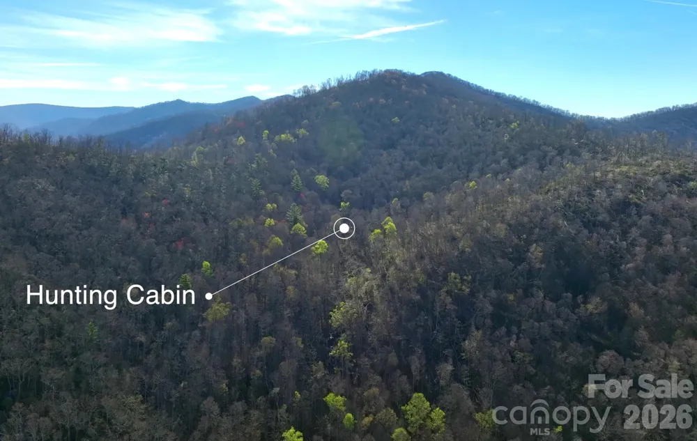 48 Benfield Road Weaverville, NC 28787