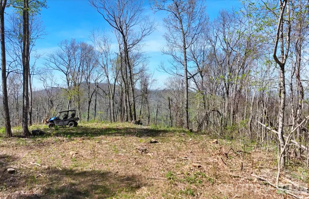 48 Benfield Road Weaverville, NC 28787