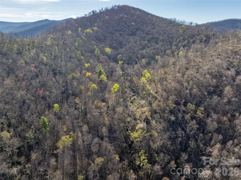 48 Benfield Road Weaverville, NC 28787