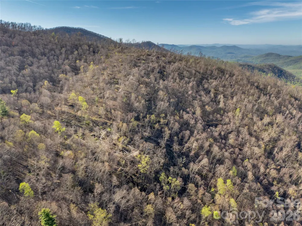 48 Benfield Road Weaverville, NC 28787