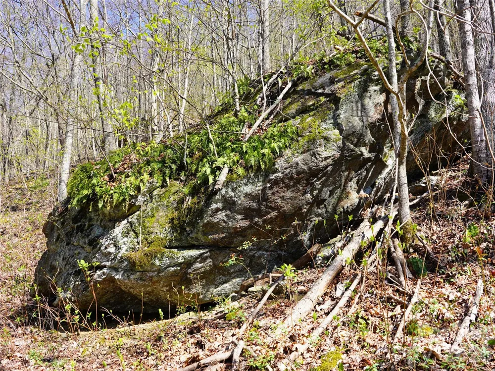 48 Benfield Road Weaverville, NC 28787