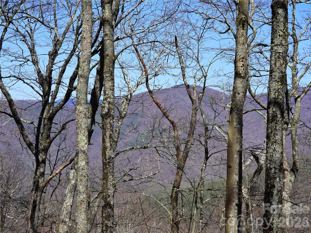 48 Benfield Road Weaverville, NC 28787