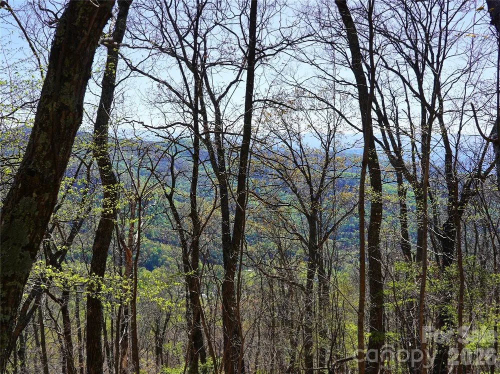 48 Benfield Road Weaverville, NC 28787