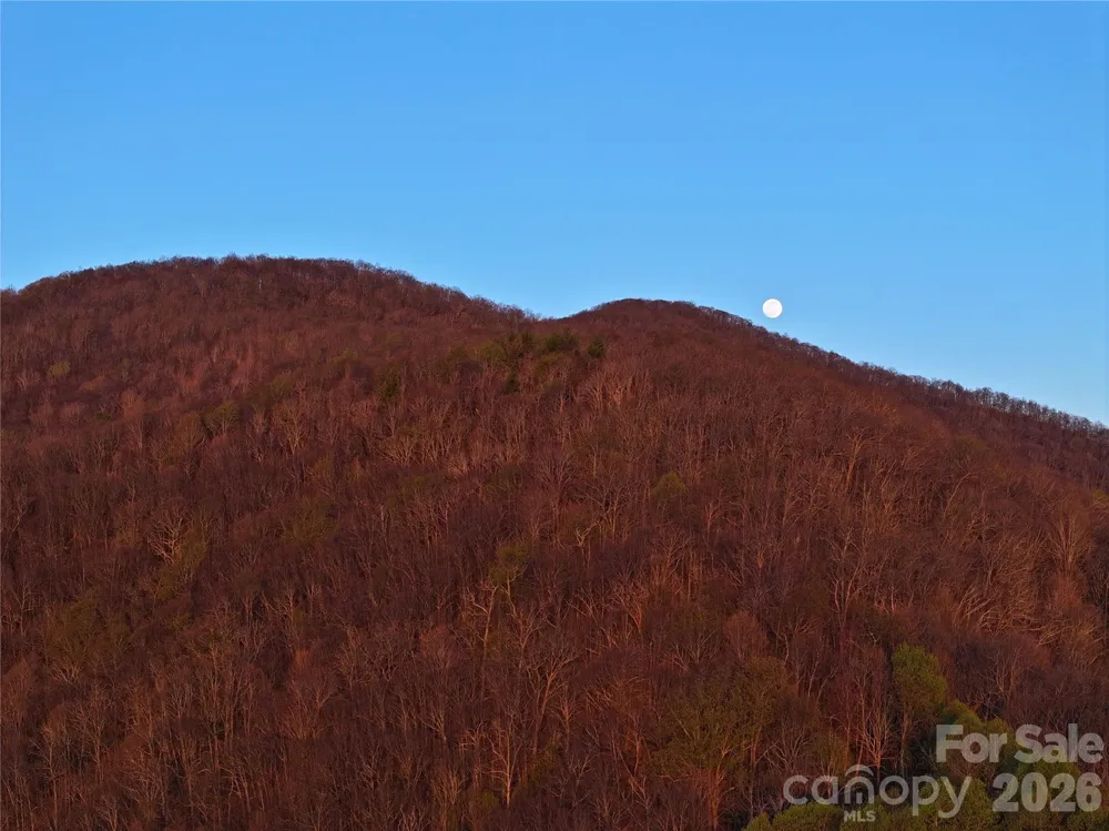48 Benfield Road Weaverville, NC 28787