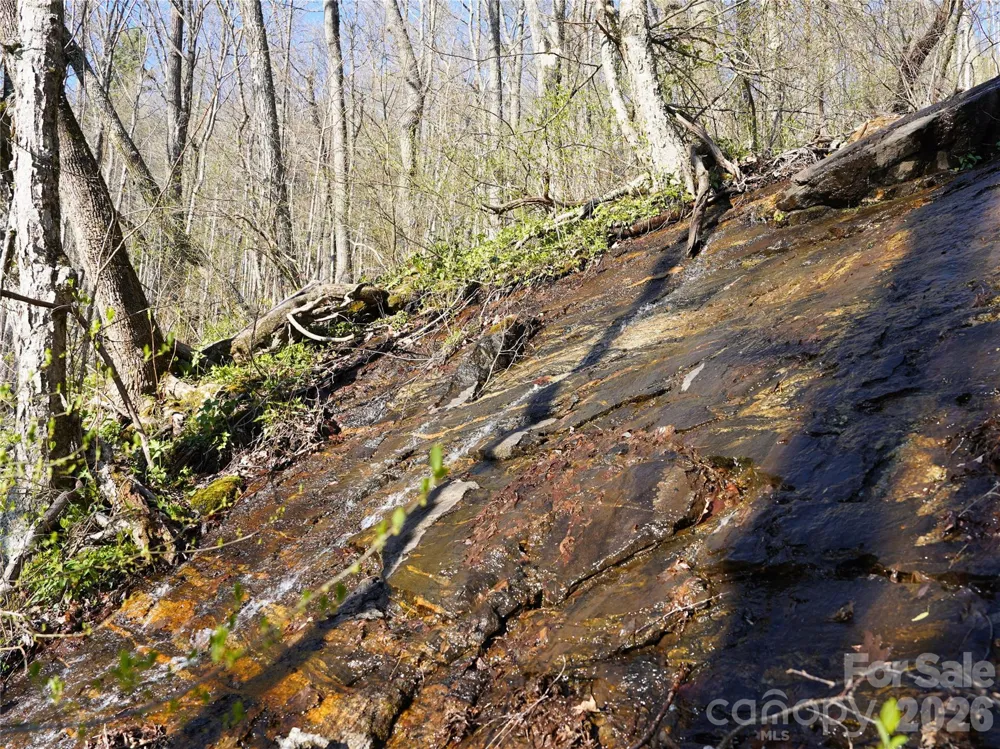 48 Benfield Road Weaverville, NC 28787