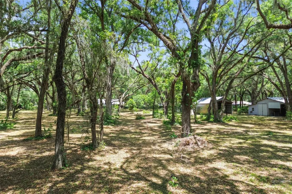 1153 CR 722 Webster, FL 33597