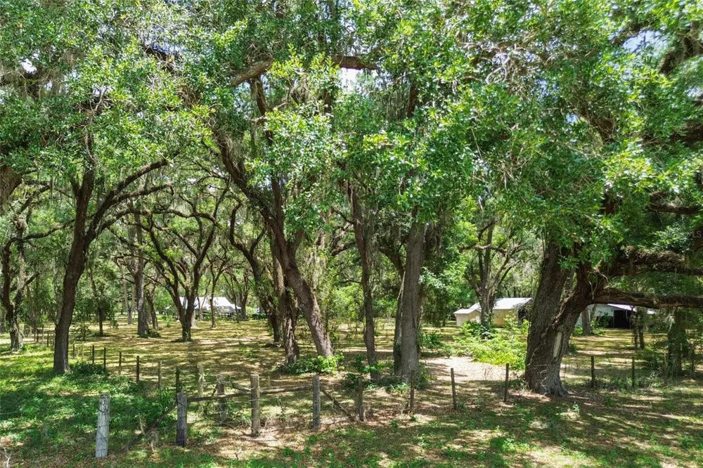1153 CR 722 Webster, FL 33597