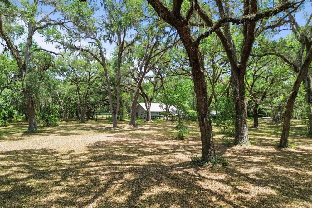 1153 CR 722 Webster, FL 33597