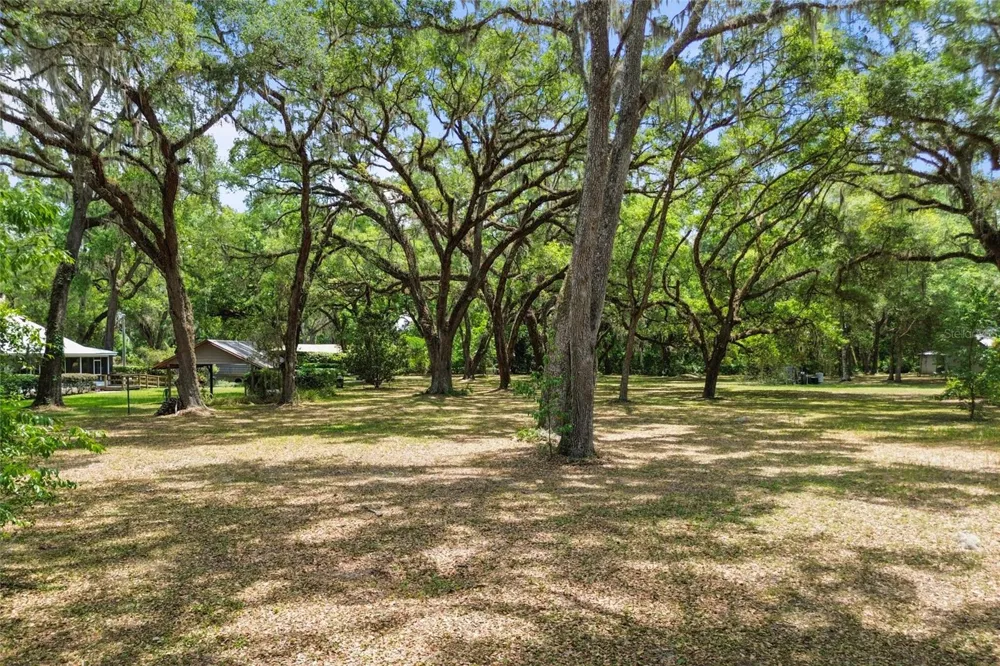 1153 CR 722 Webster, FL 33597