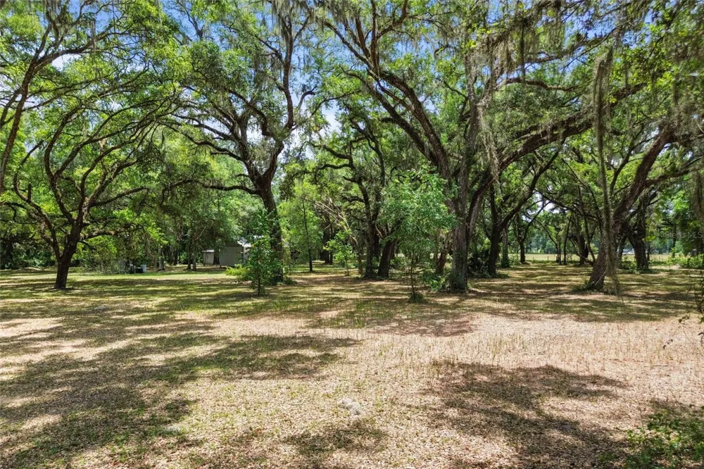 1153 CR 722 Webster, FL 33597
