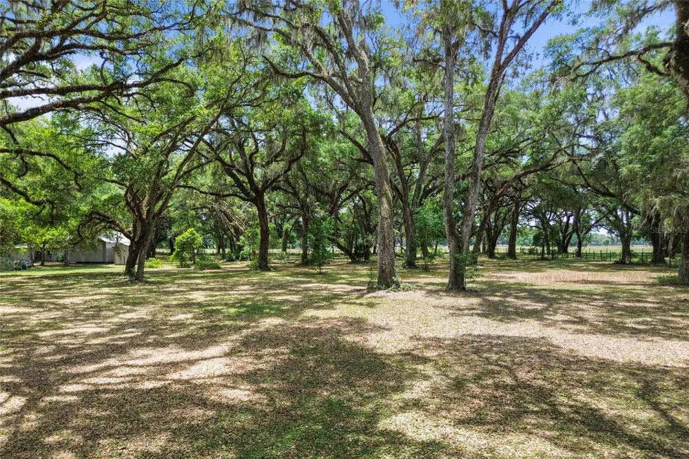 1153 CR 722 Webster, FL 33597