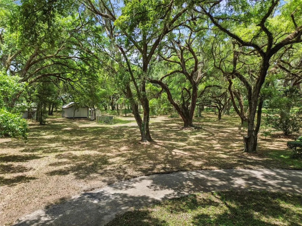 1153 CR 722 Webster, FL 33597
