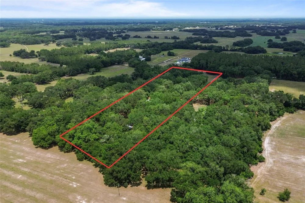 1153 CR 722 Webster, FL 33597