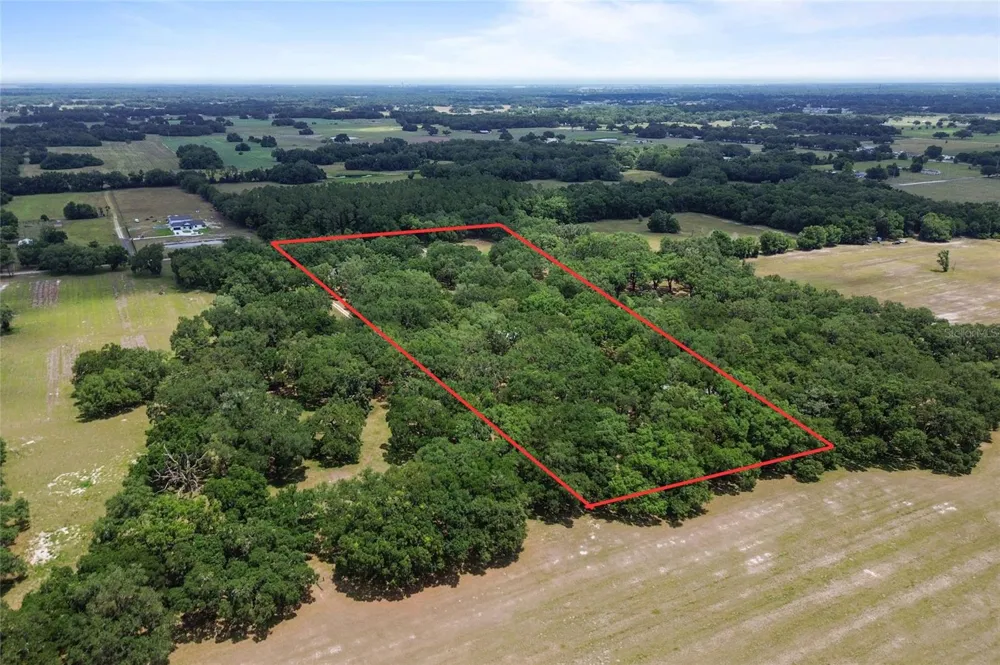 1153 CR 722 Webster, FL 33597