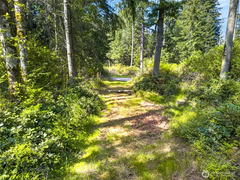0 Evergreen Lane Freeland, WA 98249