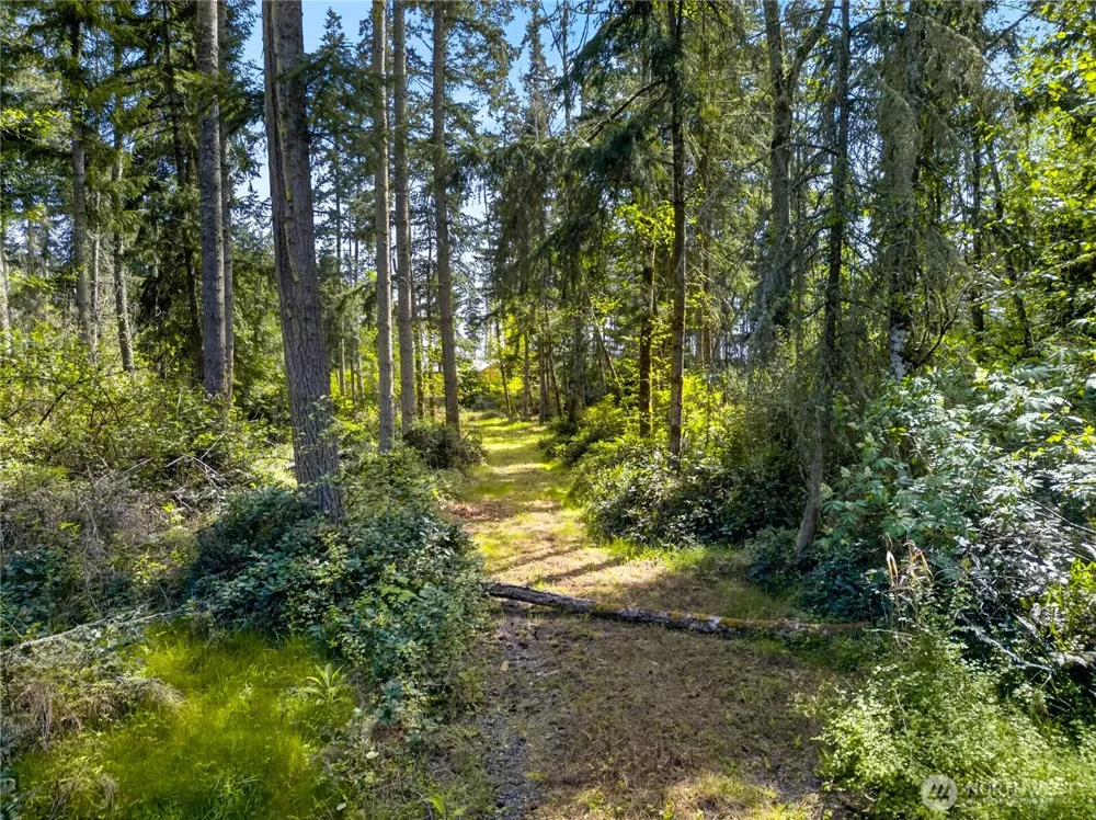 0 Evergreen Lane Freeland, WA 98249