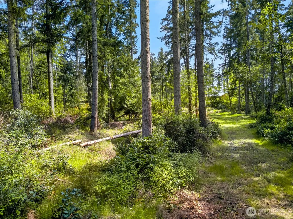 0 Evergreen Lane Freeland, WA 98249
