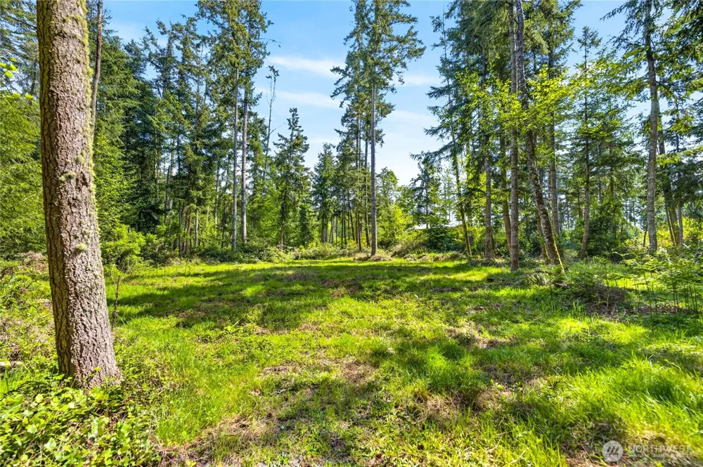 0 Evergreen Lane Freeland, WA 98249