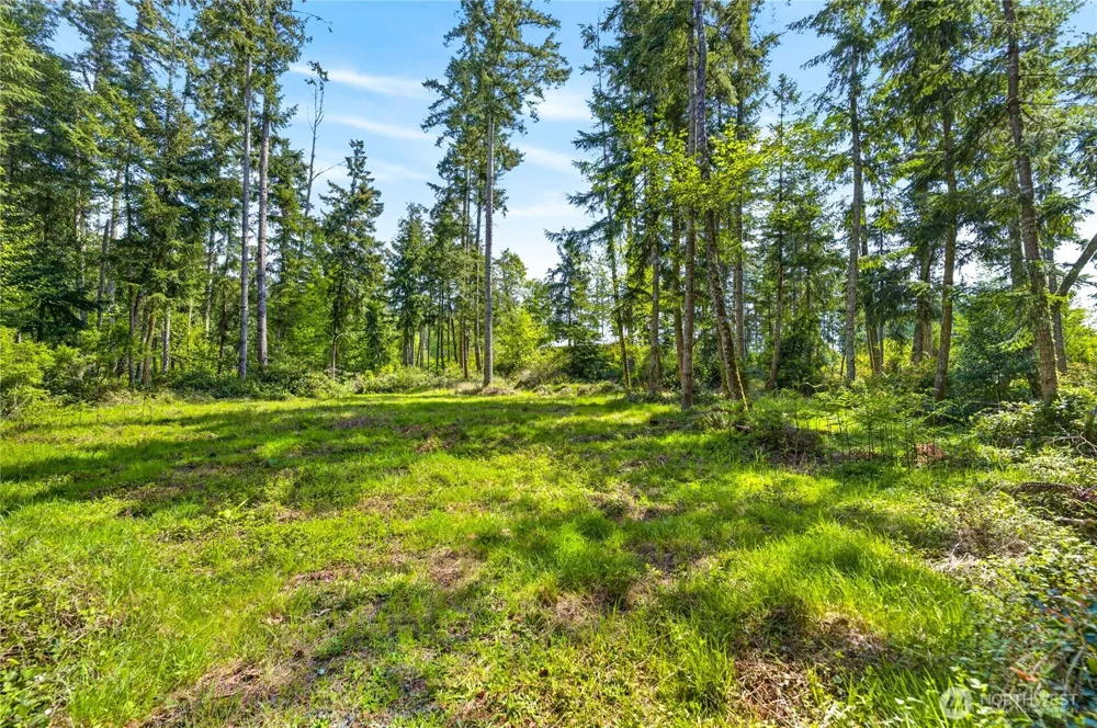 0 Evergreen Lane Freeland, WA 98249