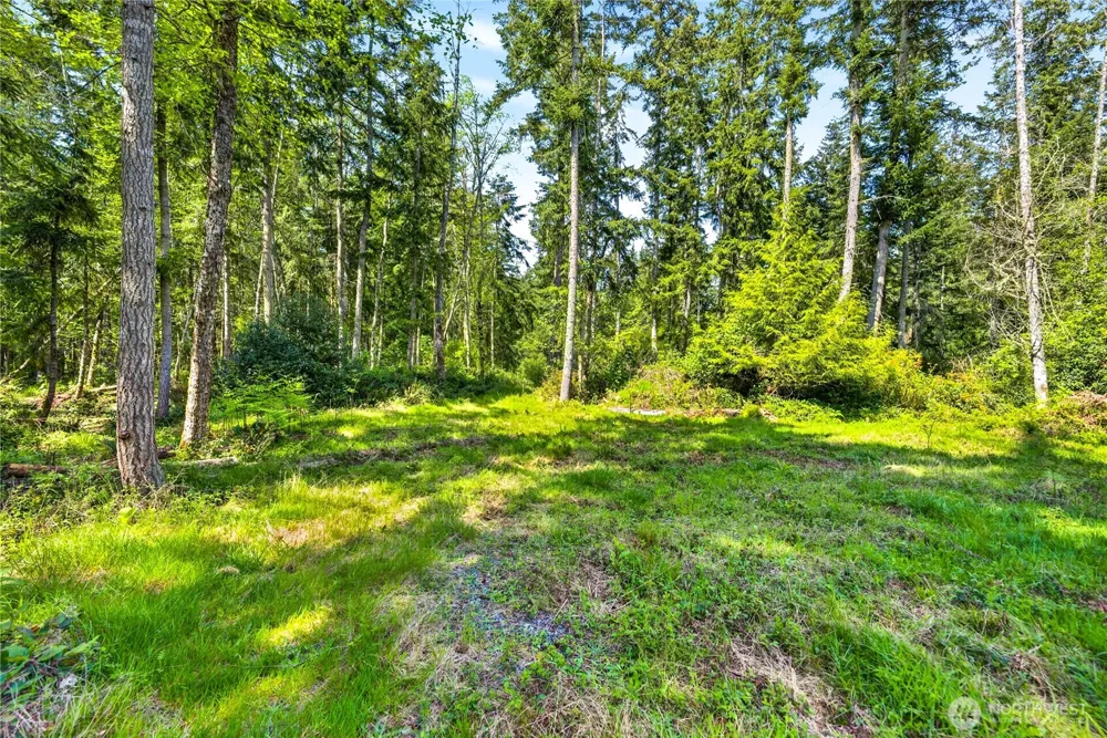 0 Evergreen Lane Freeland, WA 98249