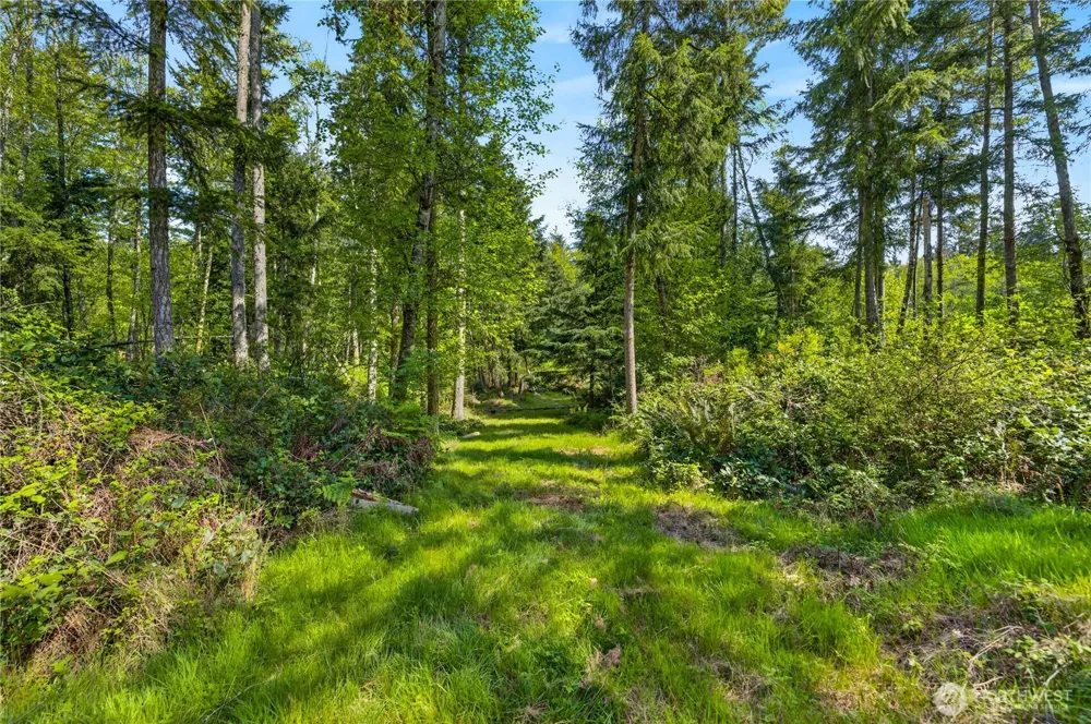 0 Evergreen Lane Freeland, WA 98249