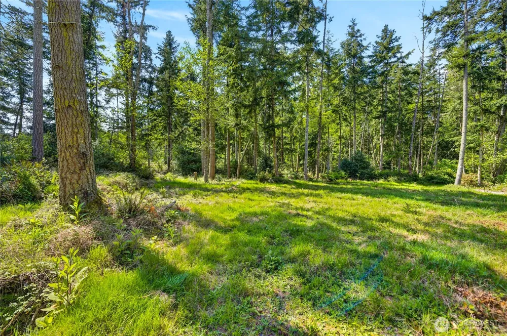 0 Evergreen Lane Freeland, WA 98249
