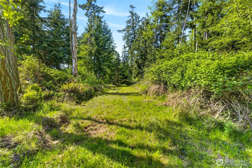 0 Evergreen Lane Freeland, WA 98249