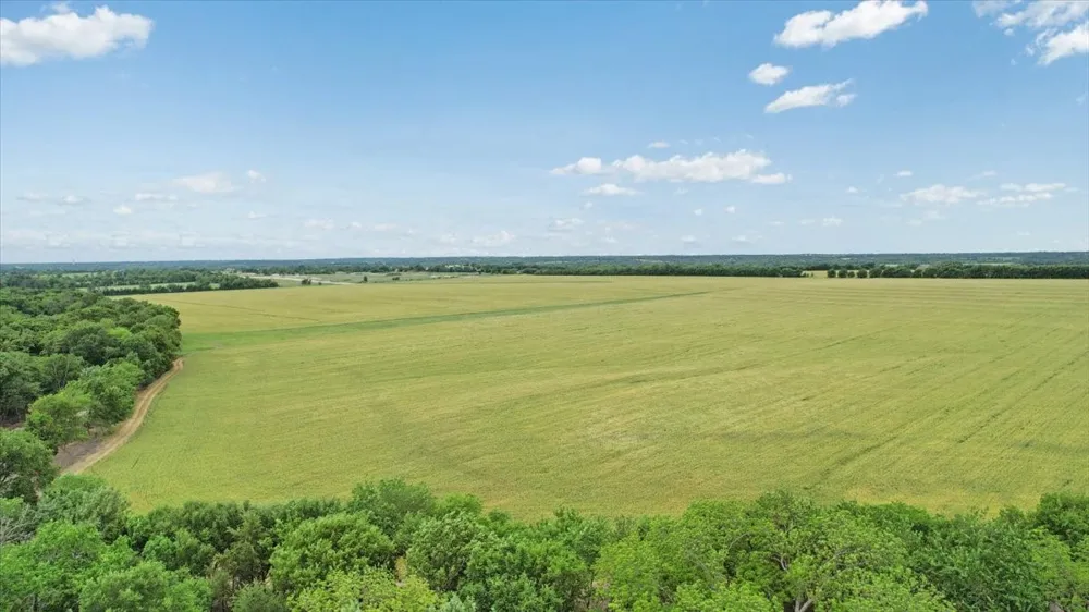 641 Jameson Van Alstyne, TX 75495