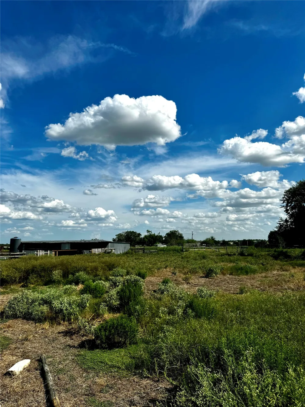 386 3G ROAD Kyle, TX 78640