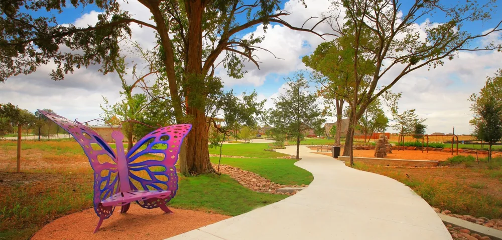 249 Bee Balm Road McKinney, TX 75071