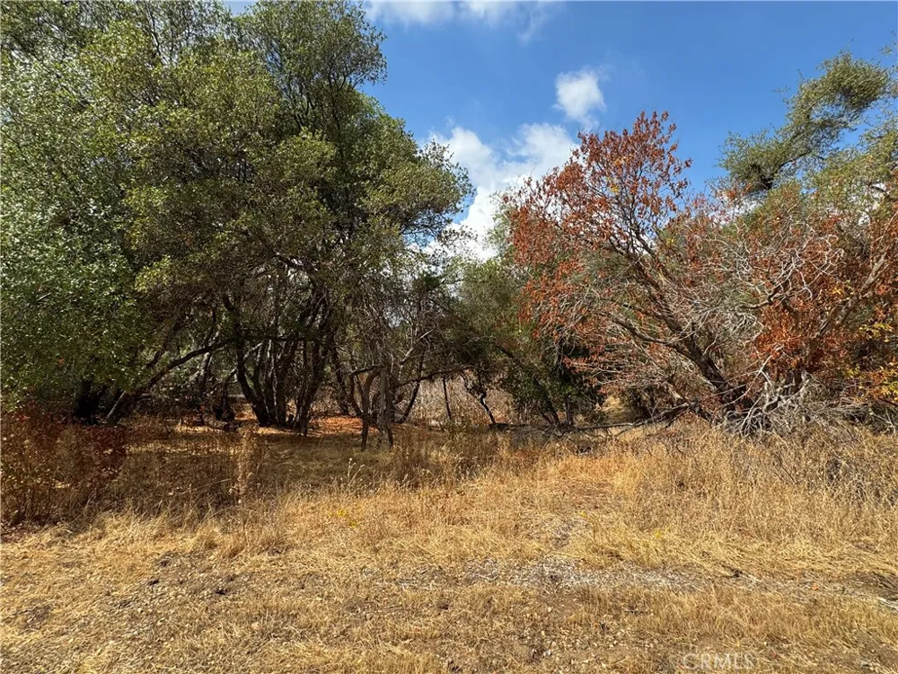 2 AC Summerhill LN Coarsegold, CA 93614
