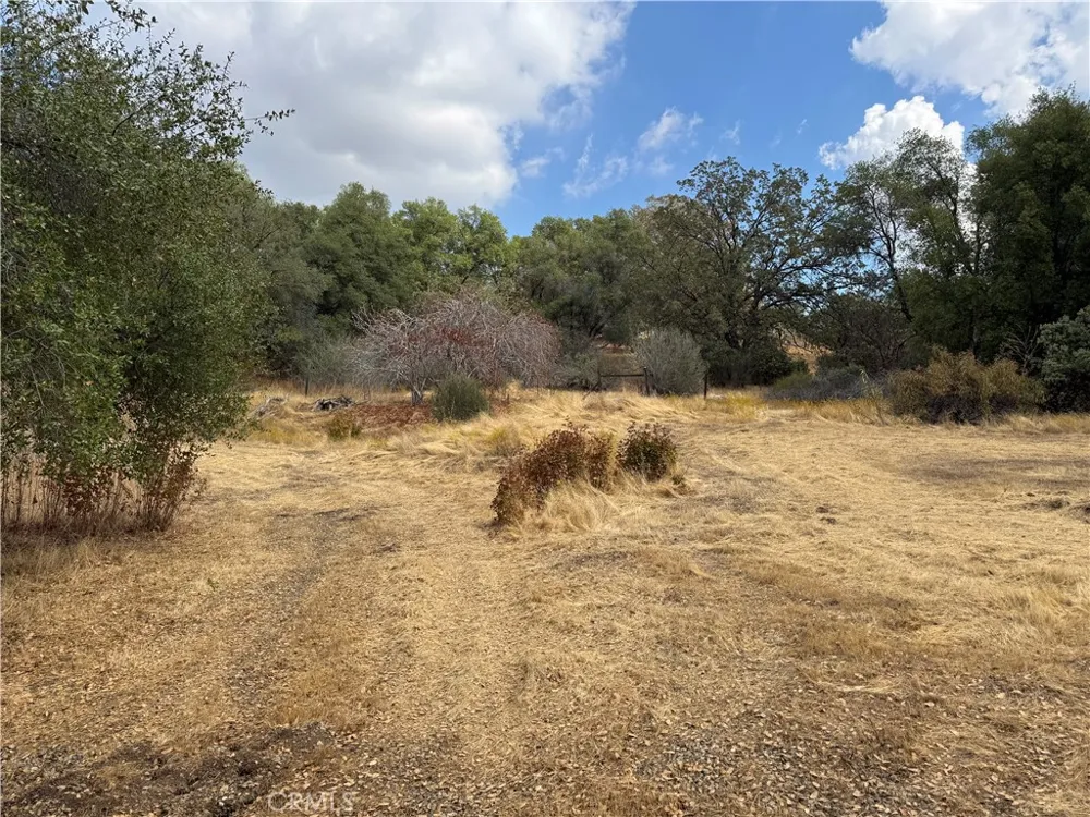2 AC Summerhill LN Coarsegold, CA 93614