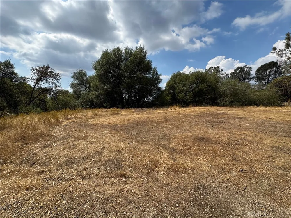 2 AC Summerhill LN Coarsegold, CA 93614