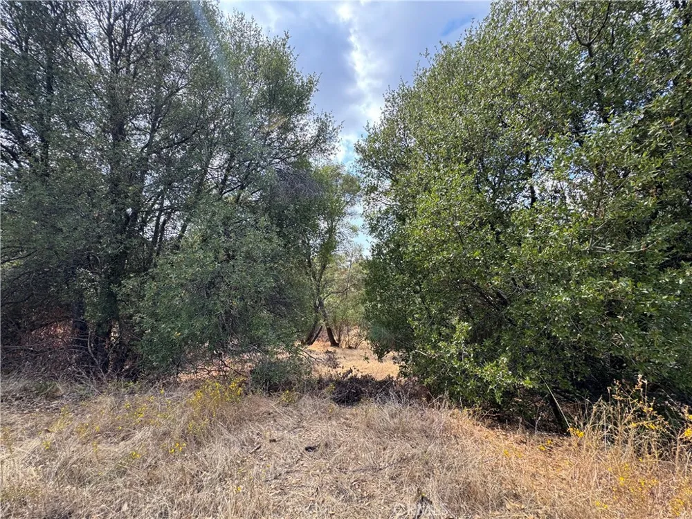 2 AC Summerhill LN Coarsegold, CA 93614