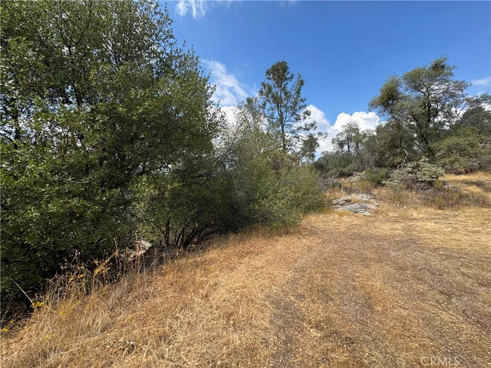 2 AC Summerhill LN Coarsegold, CA 93614