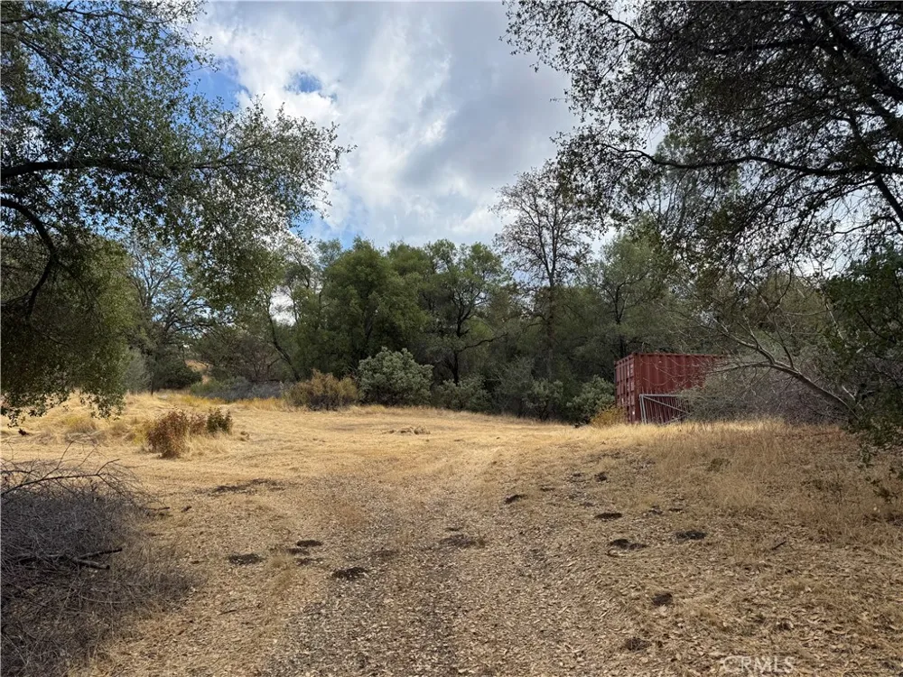 2 AC Summerhill LN Coarsegold, CA 93614