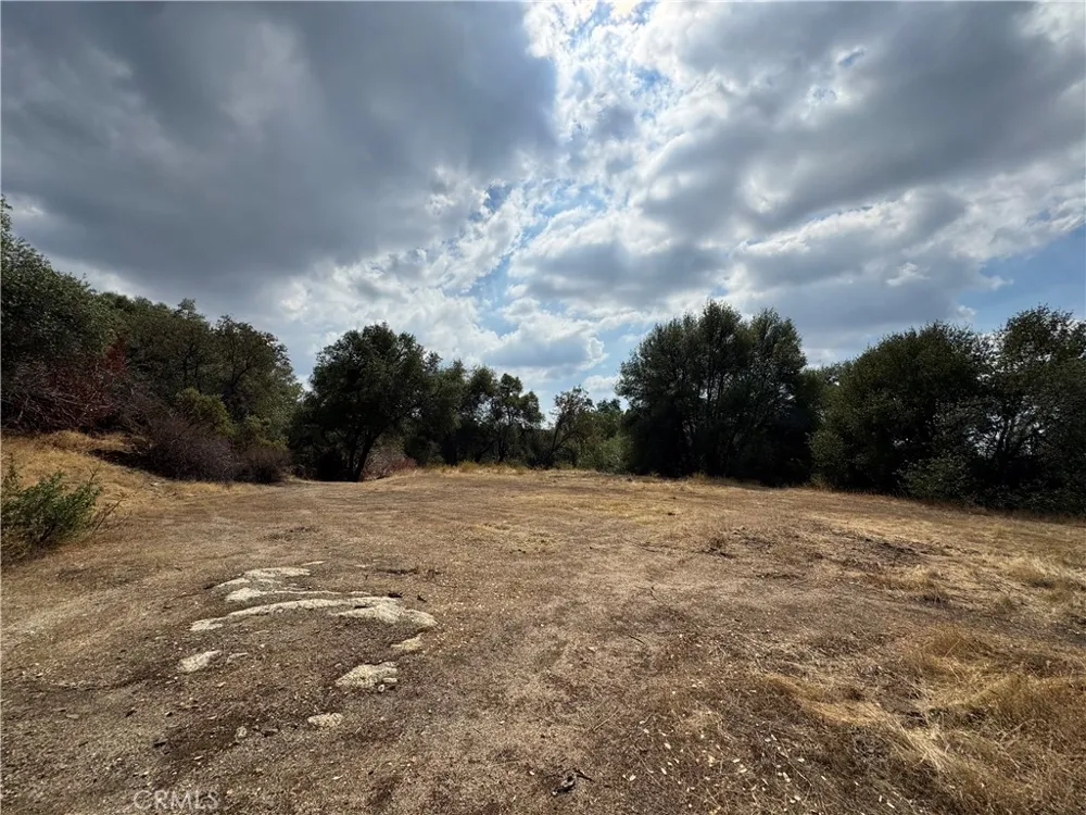 2 AC Summerhill LN Coarsegold, CA 93614