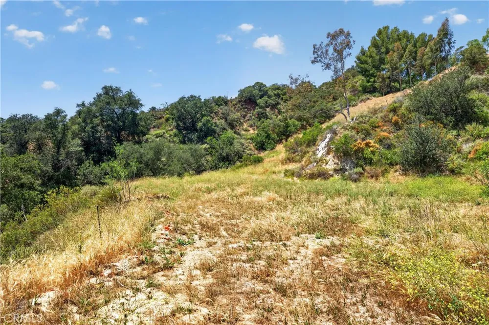 30682 Hamilton Trabuco Canyon, CA 92679