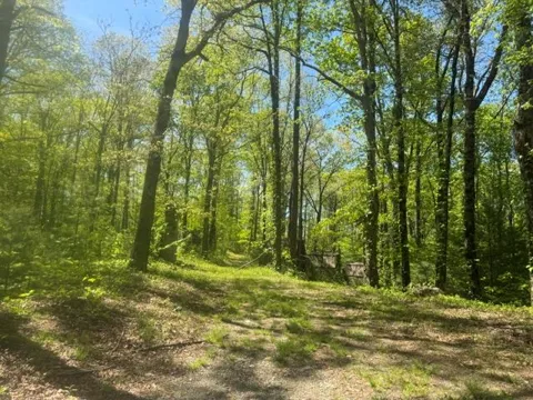 557 Shelton Road