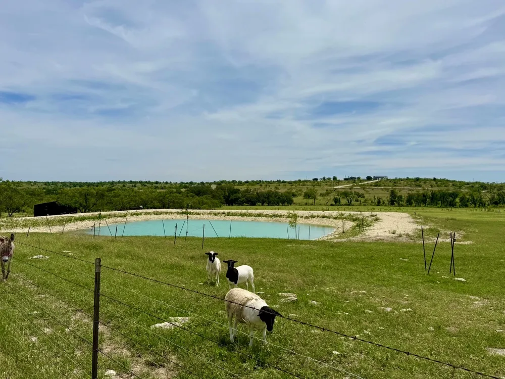 1313 County Road 266 Gustine, TX 76455